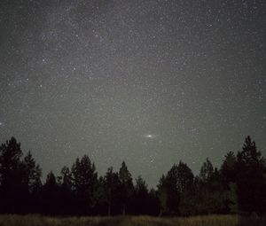 Превью обои звездное небо, ночь, деревья, горизонт