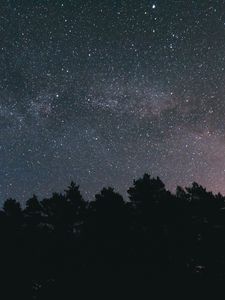 Превью обои звездное небо, ночь, деревья, небо