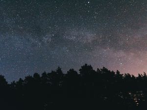 Превью обои звездное небо, ночь, деревья, небо