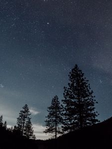 Превью обои звездное небо, ночь, деревья, пейзаж