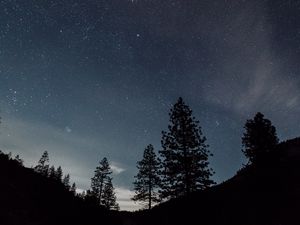 Превью обои звездное небо, ночь, деревья, пейзаж