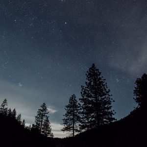 Превью обои звездное небо, ночь, деревья, пейзаж