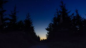 Превью обои звездное небо, ночь, деревья