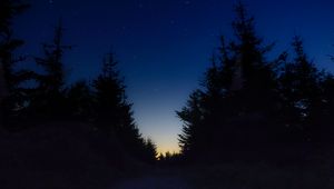 Превью обои звездное небо, ночь, деревья