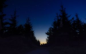 Превью обои звездное небо, ночь, деревья