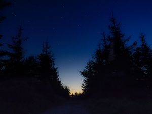 Превью обои звездное небо, ночь, деревья