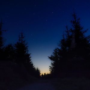 Превью обои звездное небо, ночь, деревья