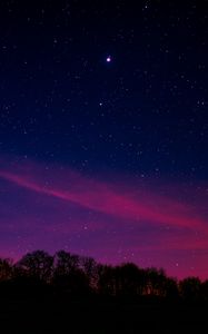 Превью обои звездное небо, ночь, деревья, облака