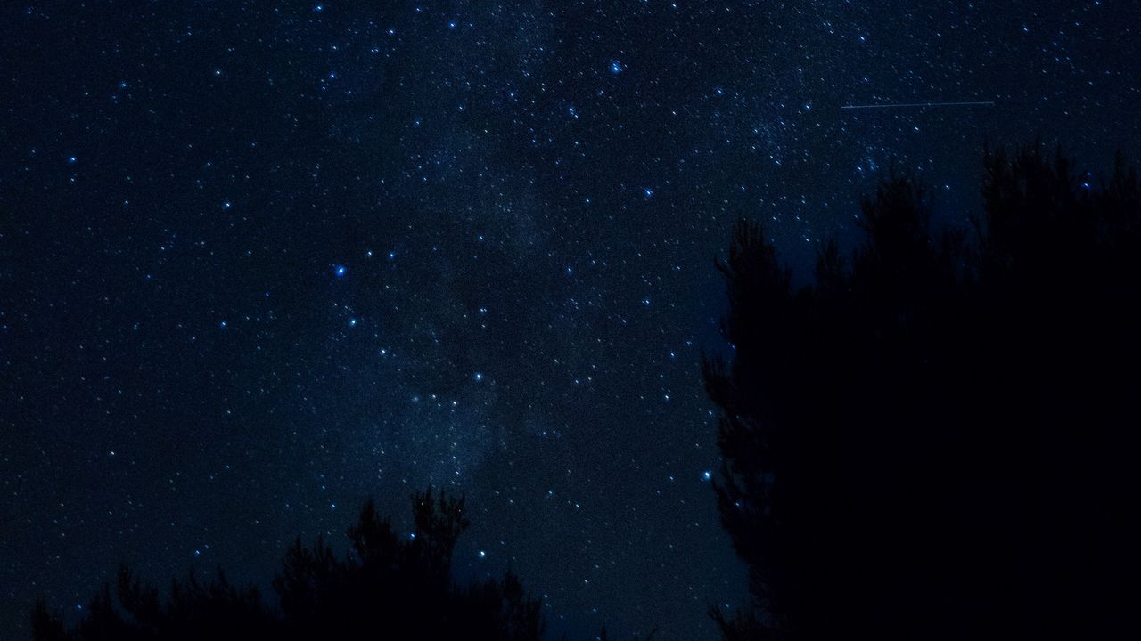 Обои звездное небо, ночь, деревья, хорватия