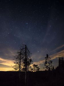 Превью обои звездное небо, ночь, деревья, звезды, ночной небо