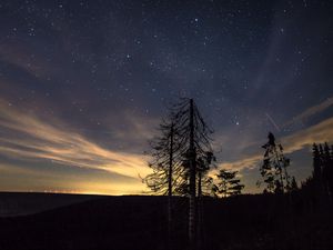 Превью обои звездное небо, ночь, деревья, звезды, ночной небо