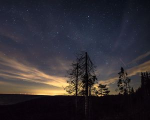 Превью обои звездное небо, ночь, деревья, звезды, ночной небо