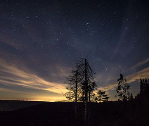 Превью обои звездное небо, ночь, деревья, звезды, ночной небо