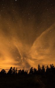 Превью обои звездное небо, ночь, деревья, облака, темный, блеск, звезды