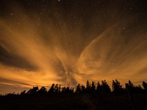 Превью обои звездное небо, ночь, деревья, облака, темный, блеск, звезды