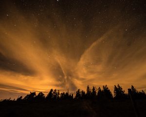 Превью обои звездное небо, ночь, деревья, облака, темный, блеск, звезды