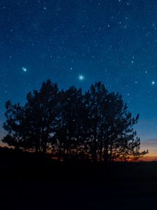 Превью обои звездное небо, ночь, деревья, звезды, пейзаж