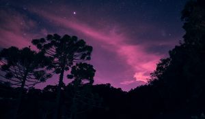 Превью обои звездное небо, ночь, деревья, звезды, сияние