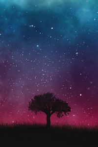 Превью обои звездное небо, ночь, дерево
