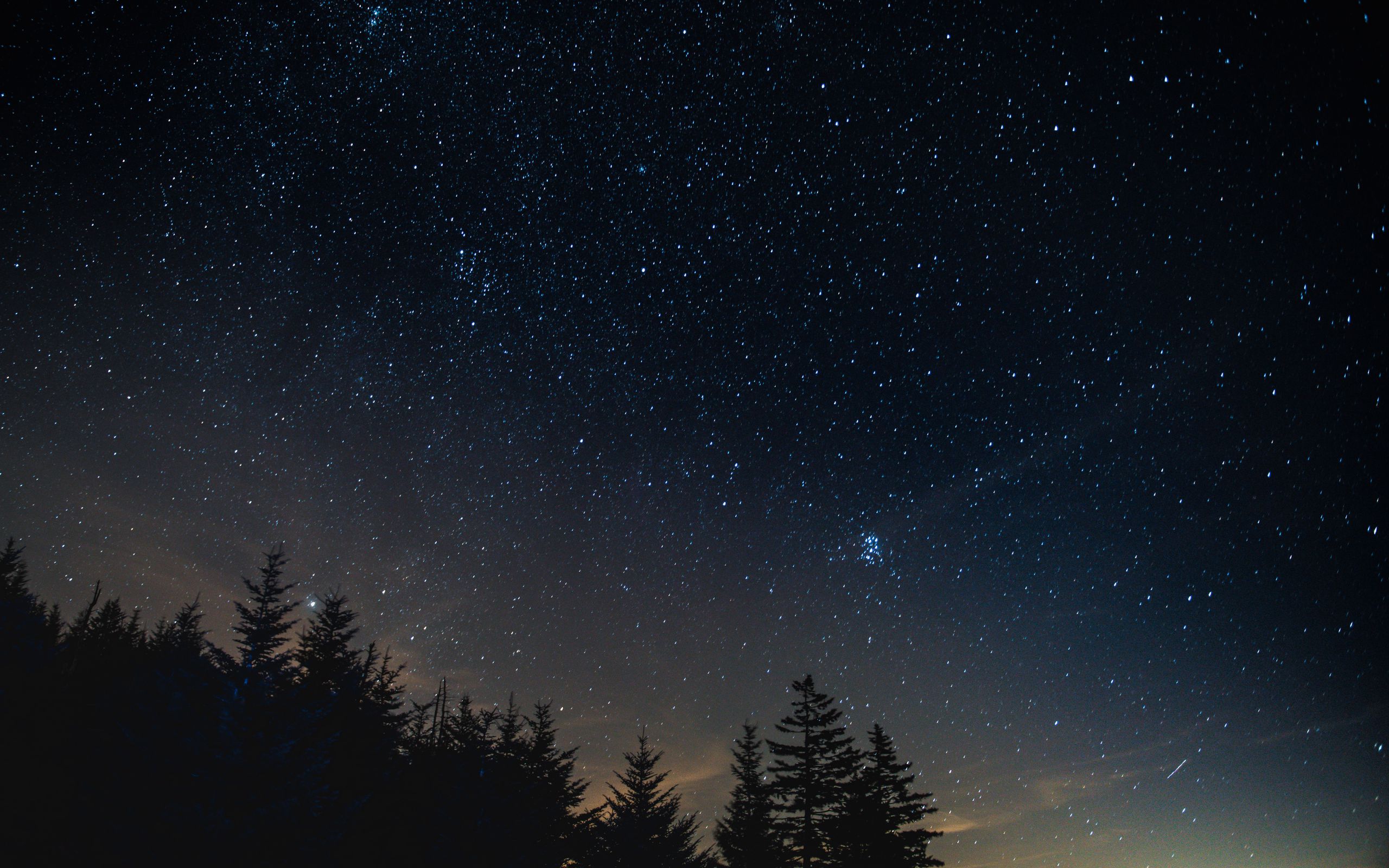 2560x1600 Обои звездное небо, ночь, деревья, ночной пейзаж