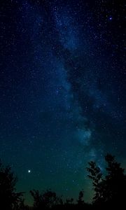 Превью обои звездное небо, ночь, звезды, деревья, ночное небо
