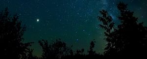 Превью обои звездное небо, ночь, звезды, деревья, ночное небо