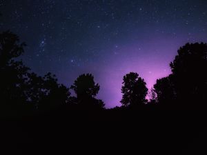 Превью обои звездное небо, ночь, звезды, пейзаж, деревья