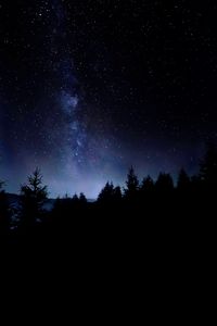 Превью обои звездное небо, ночь, звезды, деревья, темный