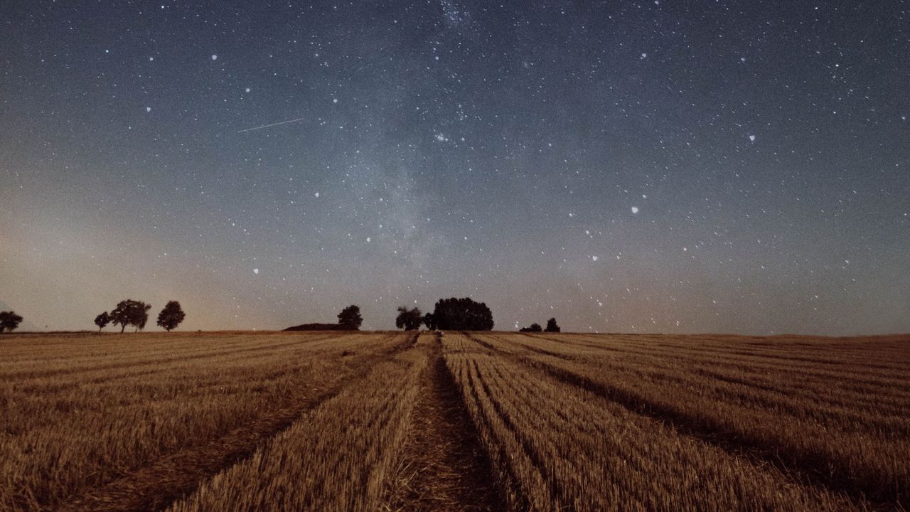 Обои звездное небо, поле, трава, сумерки, ночь, деревья
