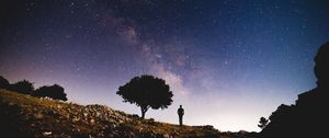 Превью обои звездное небо, силуэт, дерево, ночь, звезды