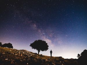 Превью обои звездное небо, силуэт, дерево, ночь, звезды
