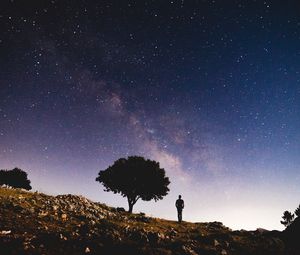 Превью обои звездное небо, силуэт, дерево, ночь, звезды