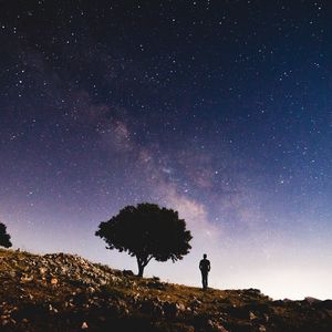 Превью обои звездное небо, силуэт, дерево, ночь, звезды