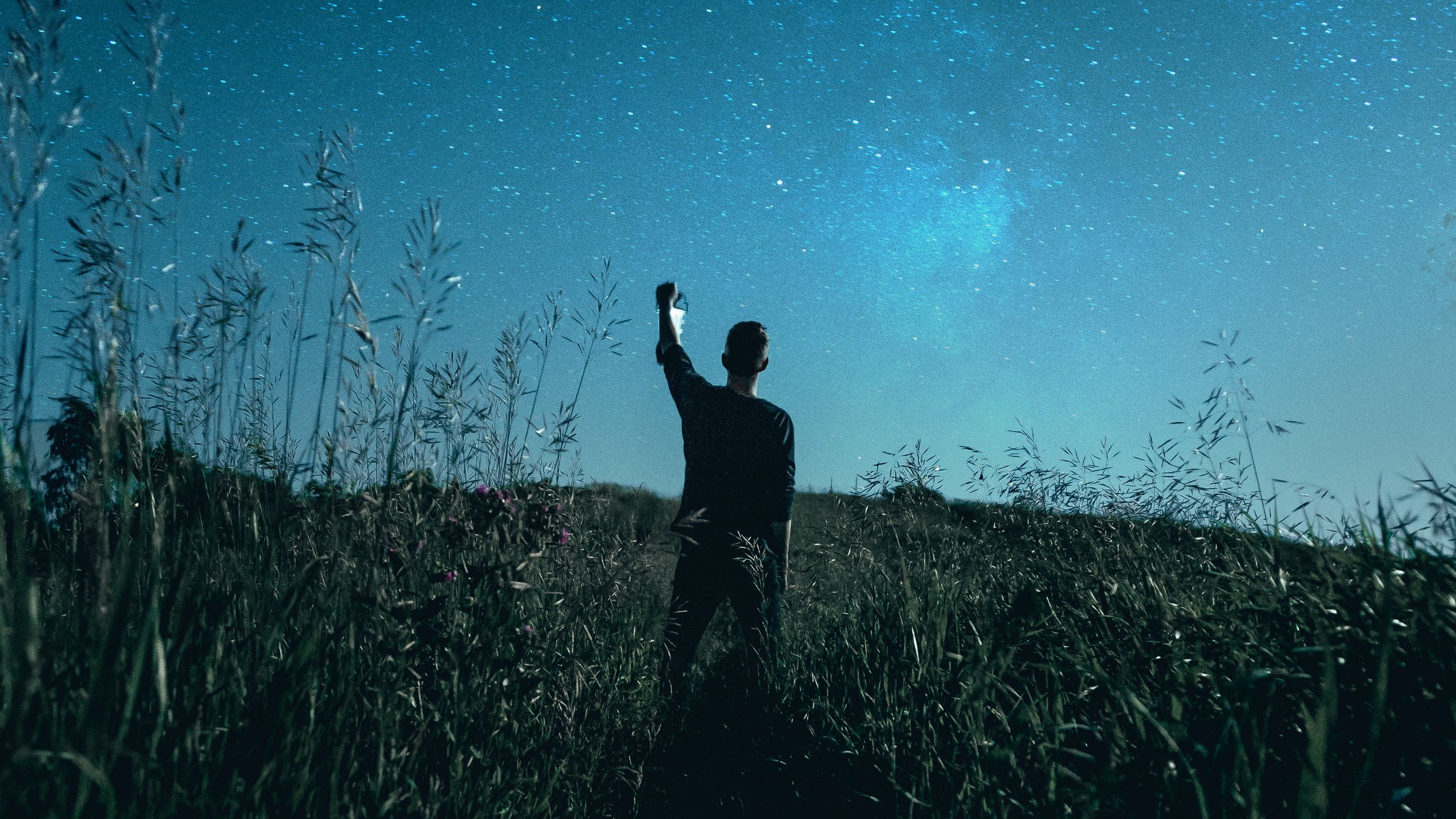 Однажды вечером в траве. Человек на поле ночью картина. Человек задумчиво смотрит на звезды. Человек смотрит на поля. Зеленая одежда мужская смотрящие на небо.