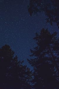 Превью обои звездное небо, вид снизу, ночь, деревья, верхушки, звезды