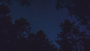 Превью обои звездное небо, вид снизу, ночь, деревья, верхушки, звезды