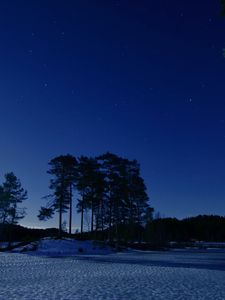 Превью обои звездное небо, зима, снег, деревья, ночь, сумерки