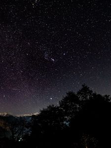 Превью обои звездное небо, звезды, блеск, ночь, деревья, звездная ночь