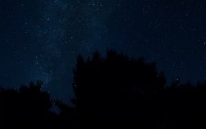 Превью обои звездное небо, звезды, деревья, ночь, ночной пейзаж
