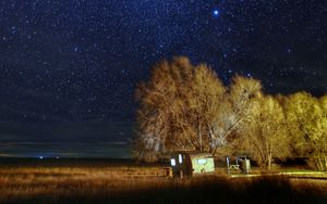 Превью обои звездное небо, звезды, деревья, ночь, темнота