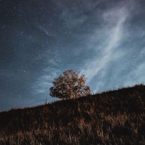Превью обои звездное небо, звезды, дерево, трава, ночь