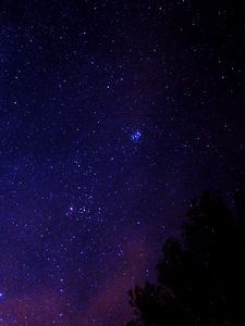 Превью обои звездное небо, звезды, дерево, космос