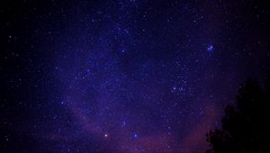 Превью обои звездное небо, звезды, дерево, космос