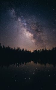 Превью обои звездное небо, звезды, млечный путь, деревья, ночь