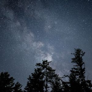 Превью обои звездное небо, звезды, ночь, деревья
