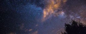 Превью обои звездное небо, звезды, ночь, дерево