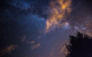 Превью обои звездное небо, звезды, ночь, дерево