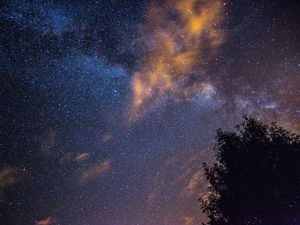 Превью обои звездное небо, звезды, ночь, дерево