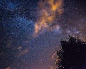 Превью обои звездное небо, звезды, ночь, дерево