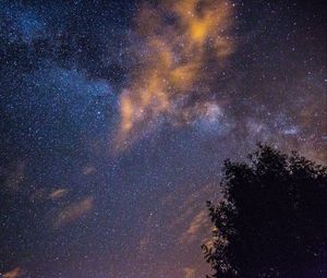 Превью обои звездное небо, звезды, ночь, дерево